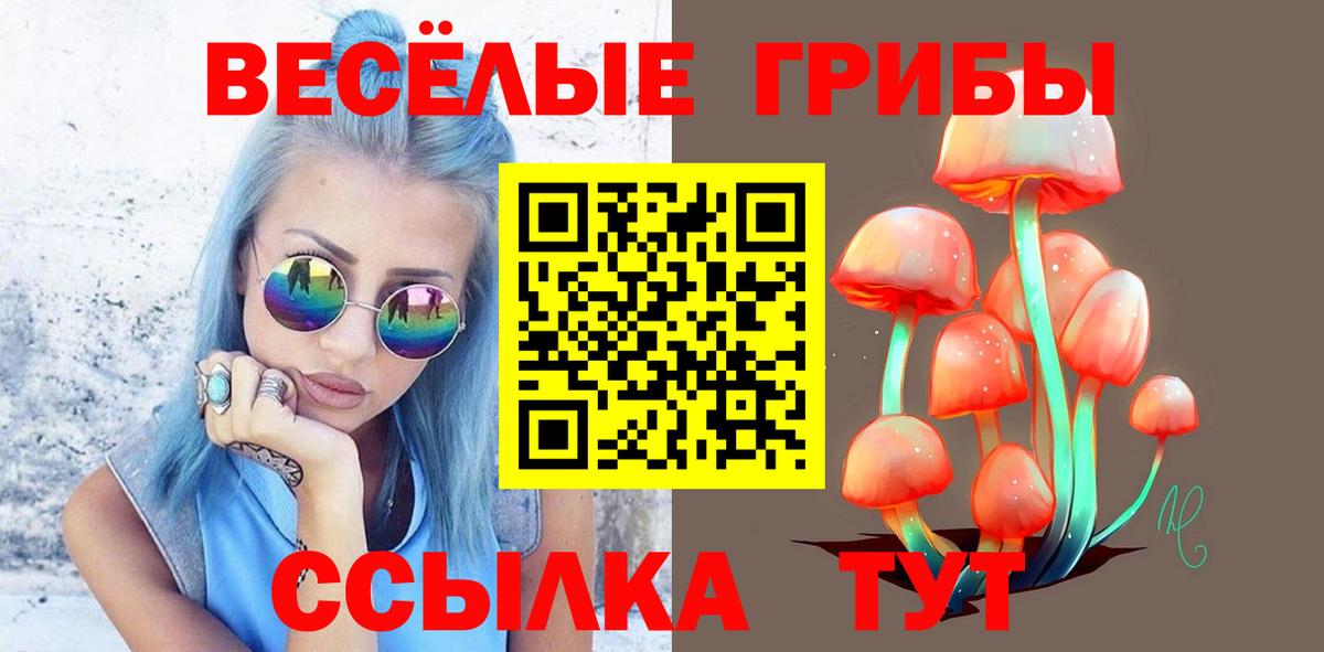 Арзамас  Псилоцибиновые грибы Psilocybe  Вход с VPN  Псилоцибиновые грибы ЛСД 